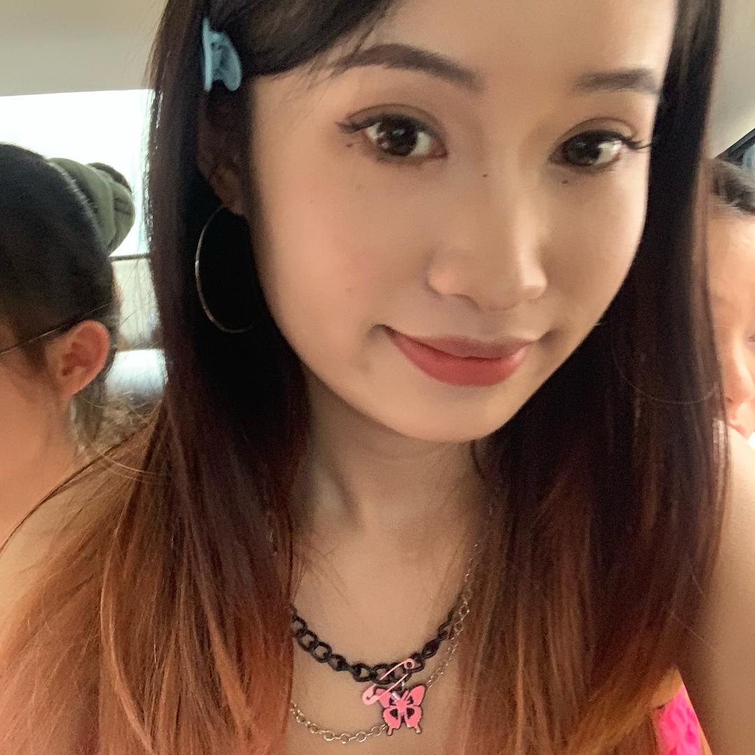 呆呆小鲨.