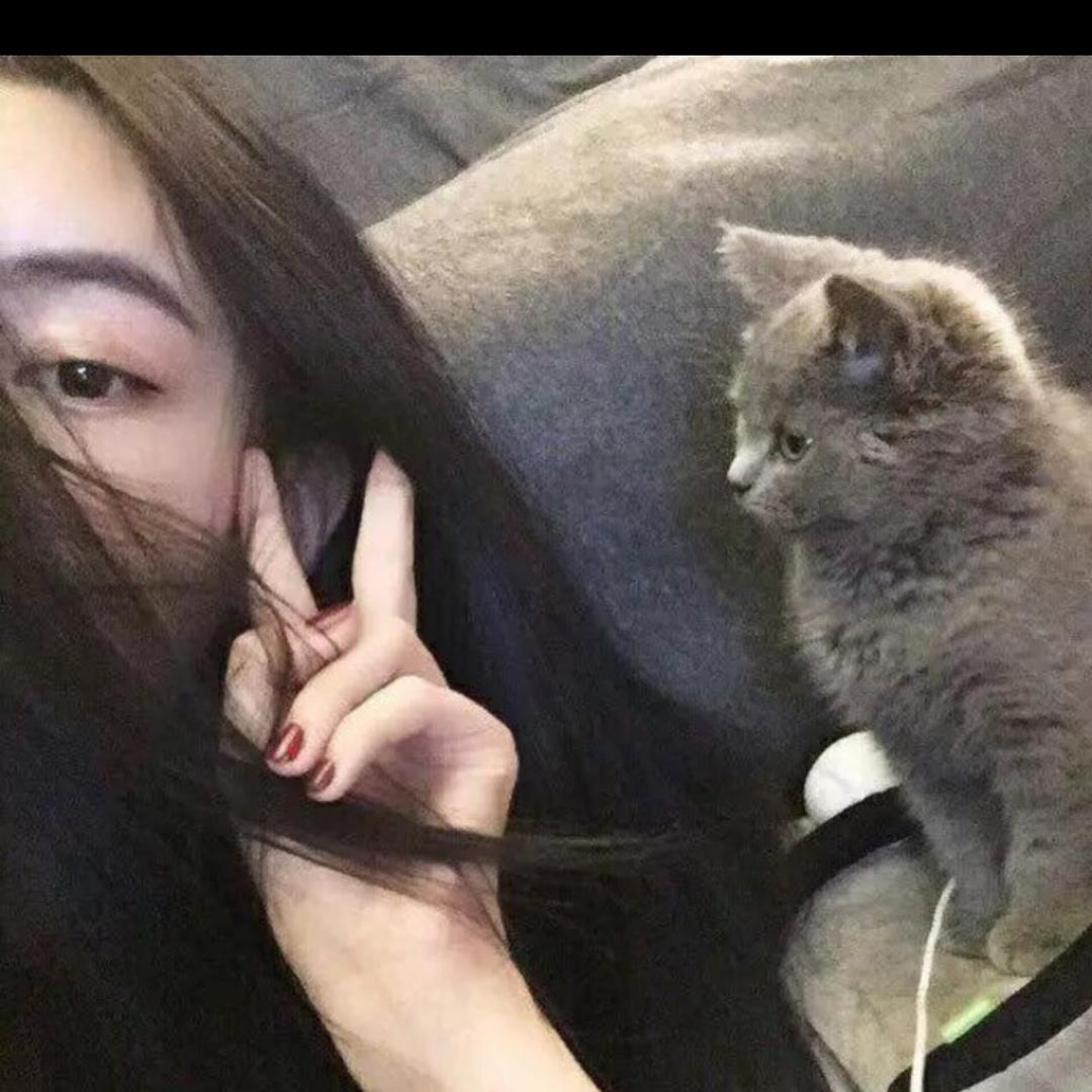 🌸