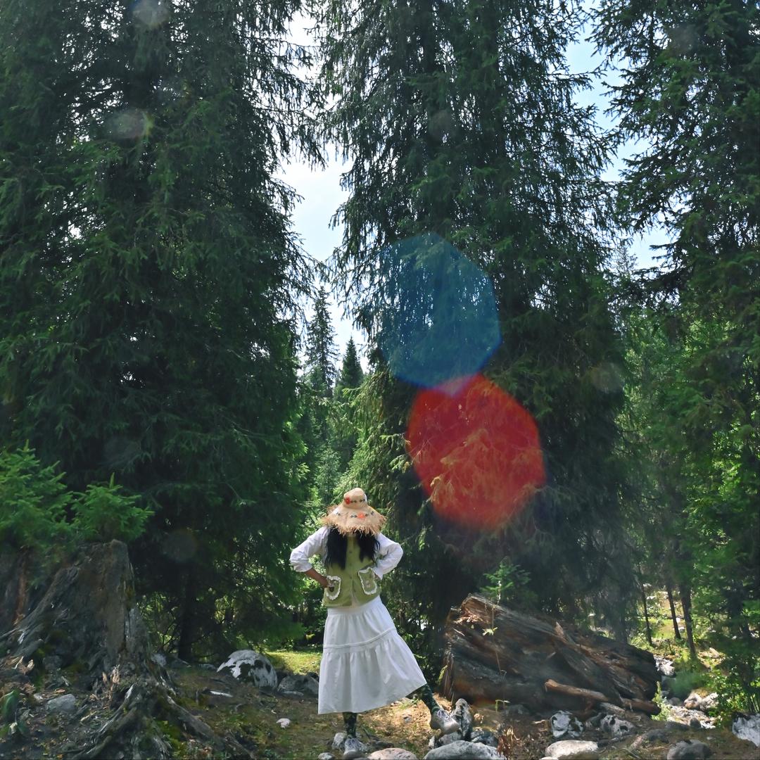 婷儿的生活日记