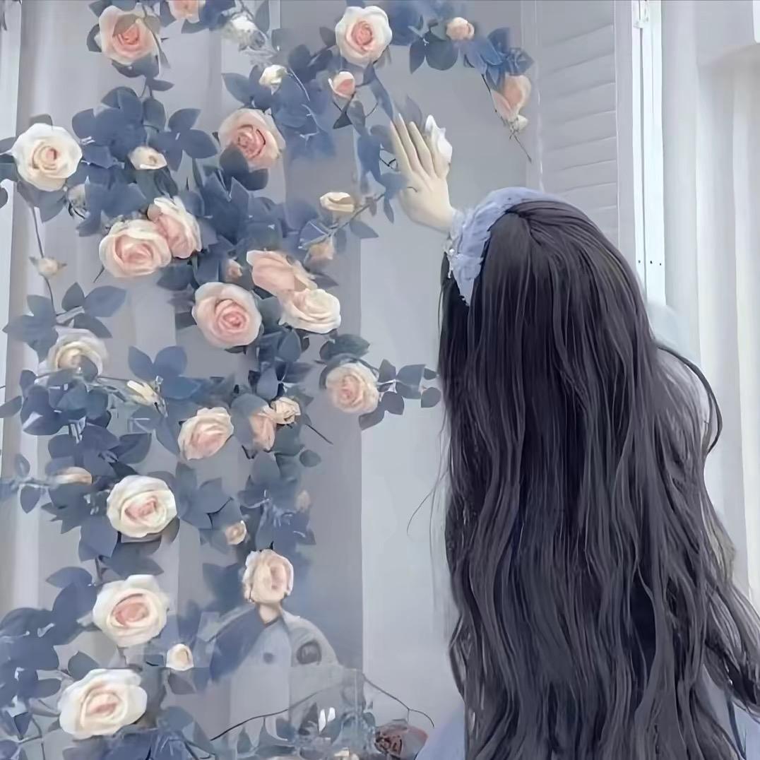 小野猫🐈 ˖⋆ 💭