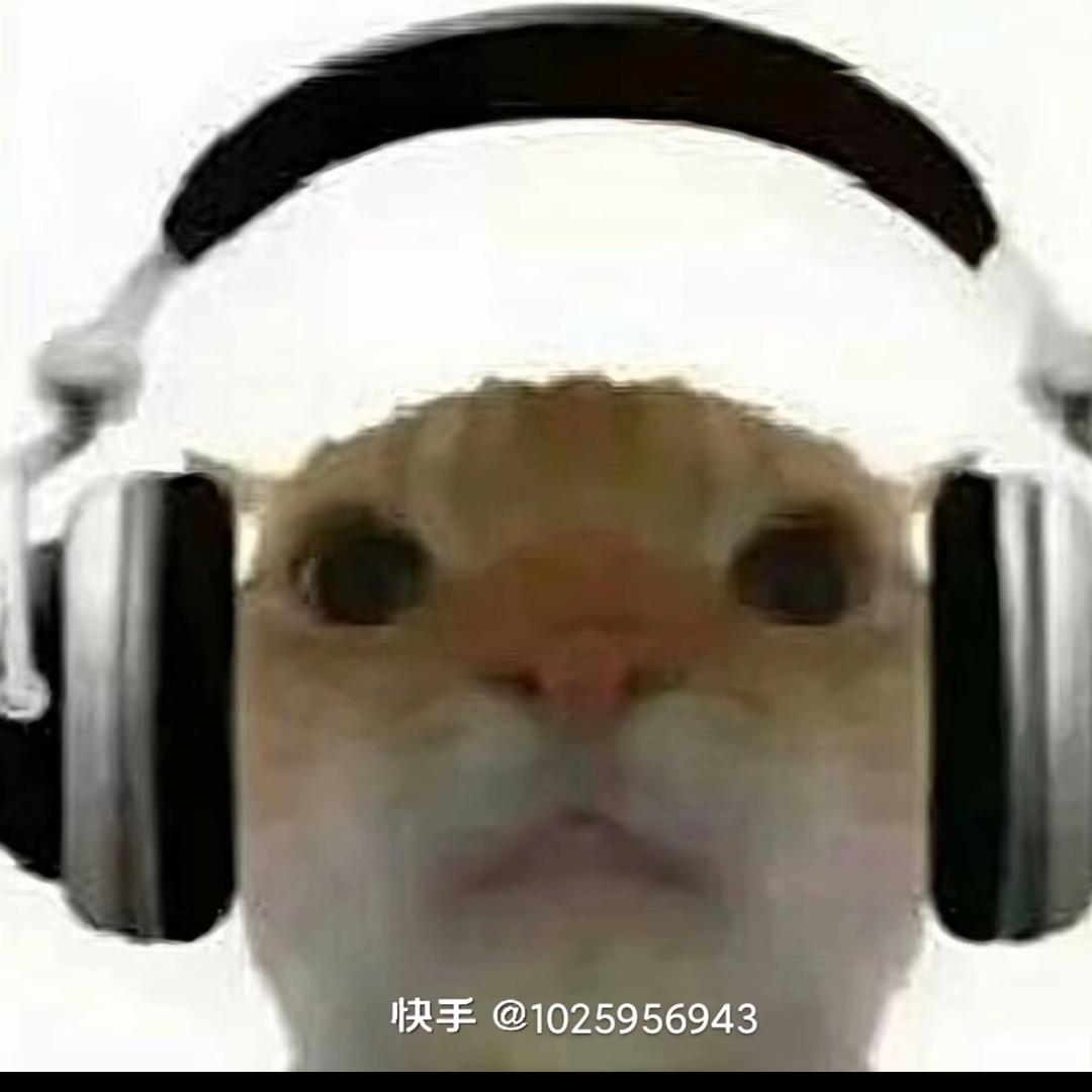 可怜小孩（上网课版）