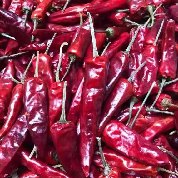 武汉鸡粉香料辣椒供应商
