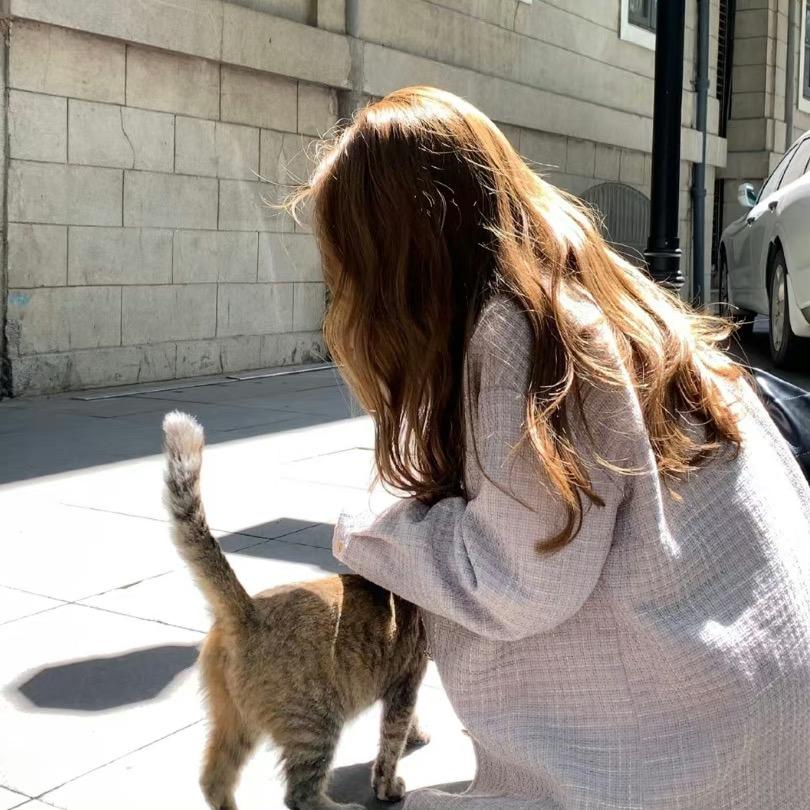 ℳ̶̶̶̶晚风ᥫᩣ