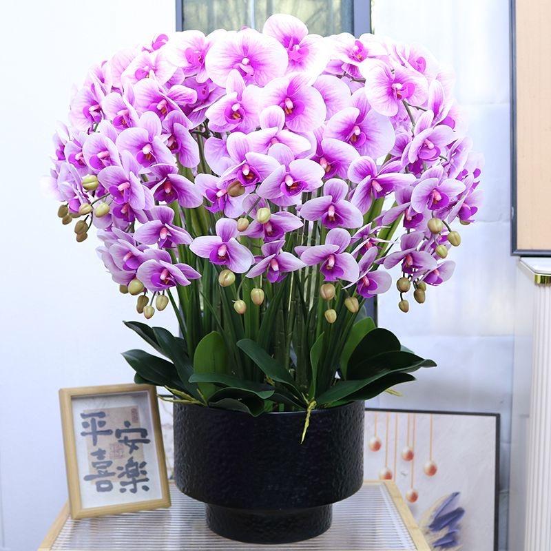 橙子家高端仿真花