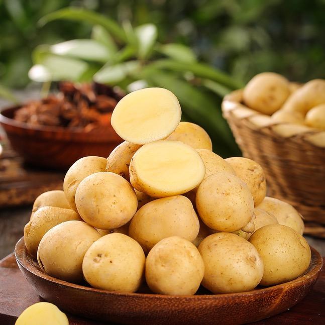 恩施小土豆源产地小妹