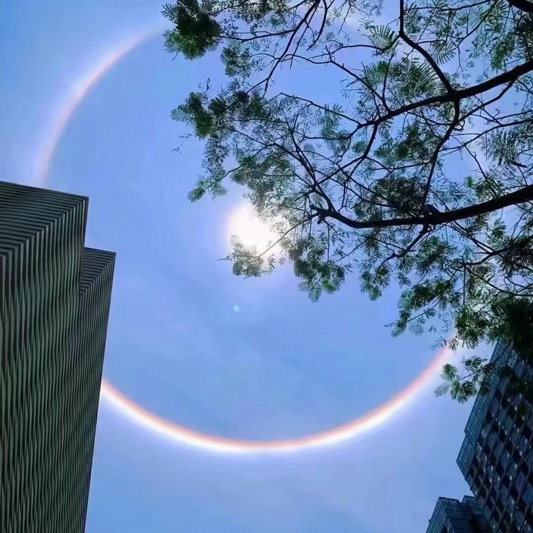 傻瓜式
