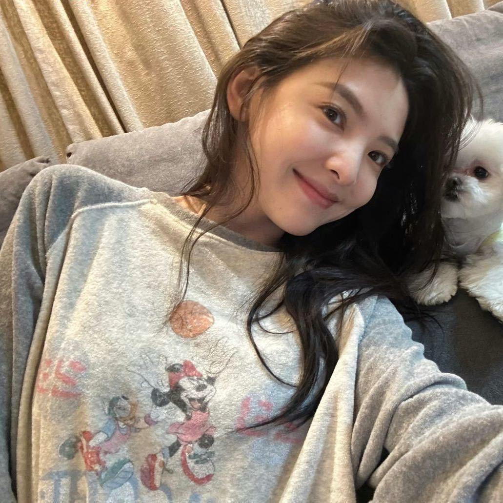 招财猫本猫🐾