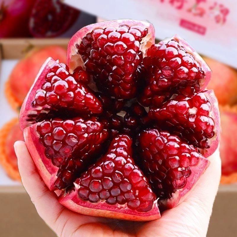 若帆果树苗木专营店