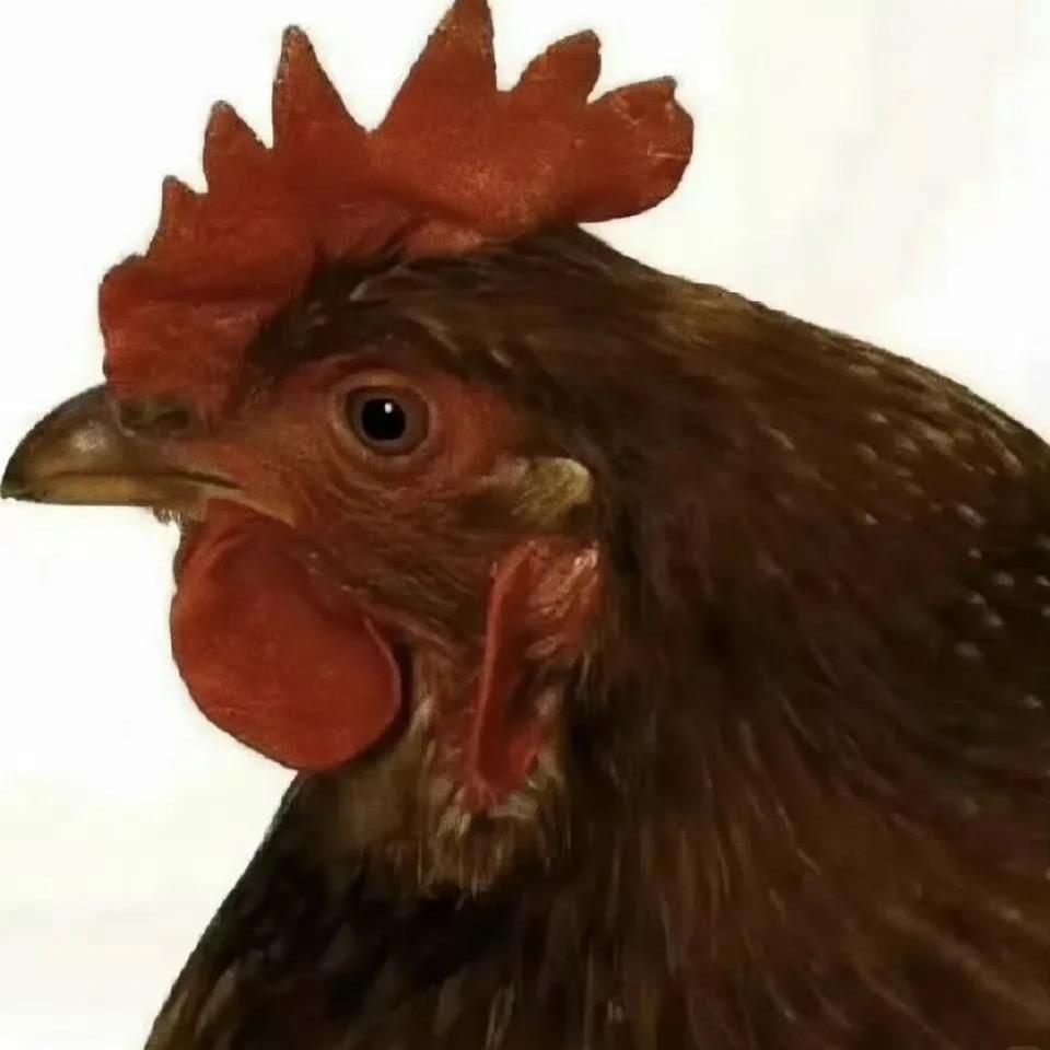 江焱焱