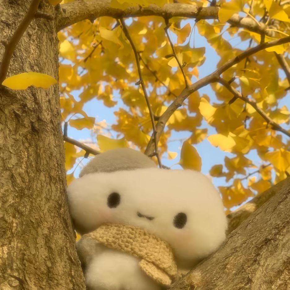 汐甜🐾