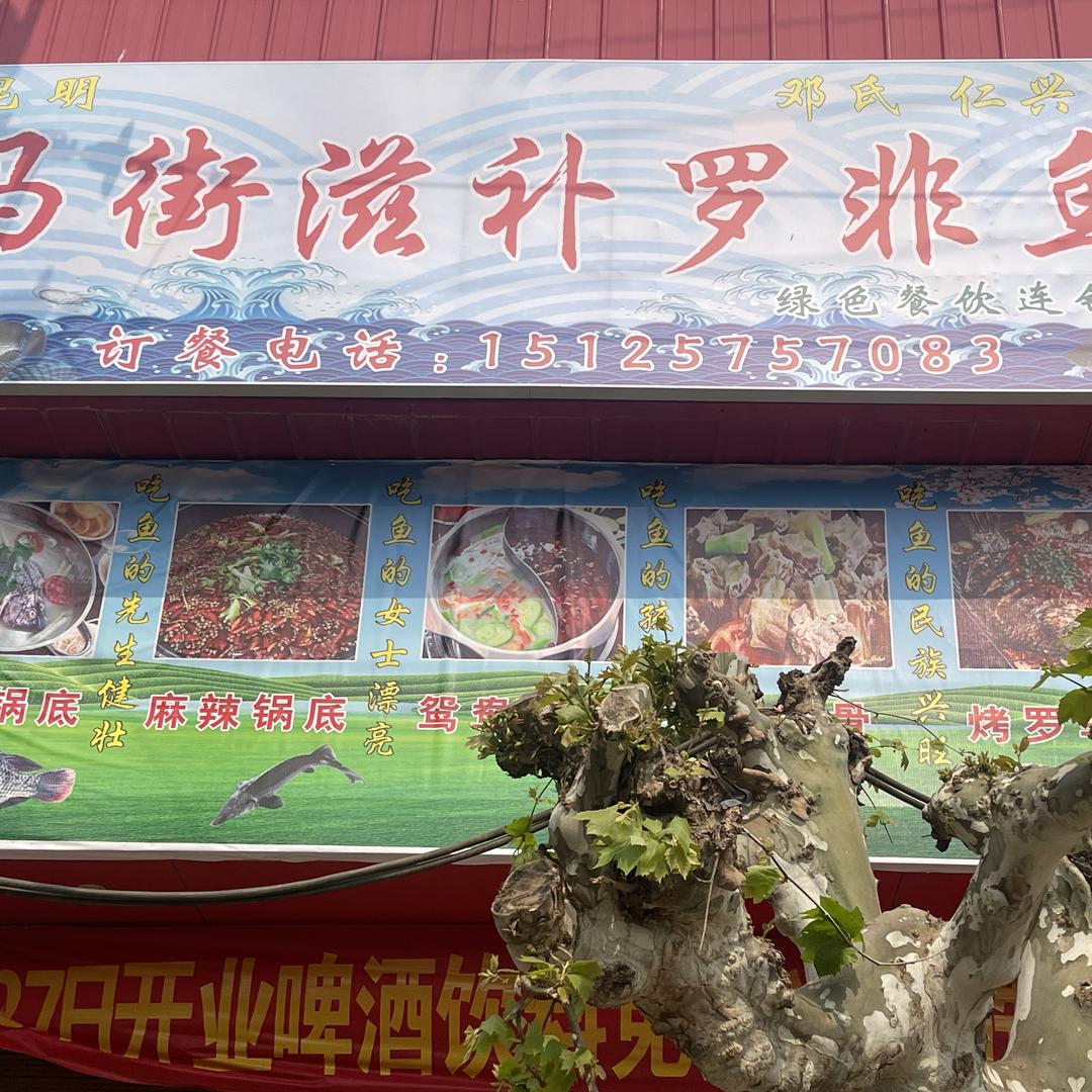 昆明马街罗非鱼，仁兴店