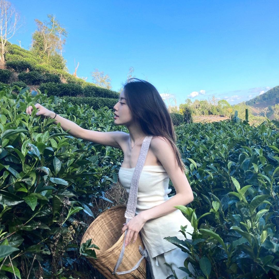 州衡云之水茶叶专卖店
