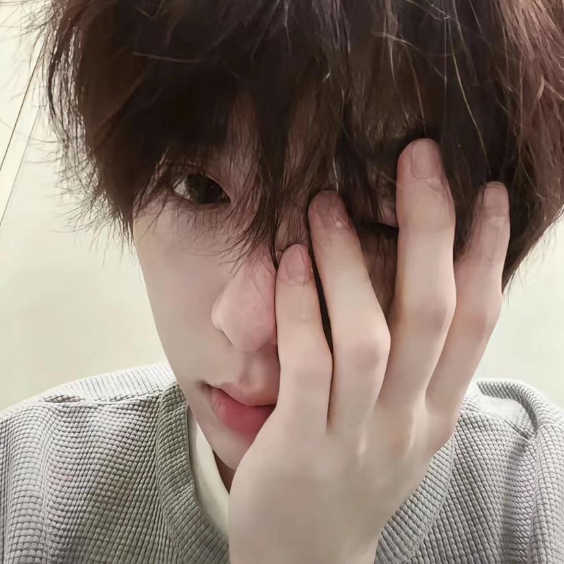 藏