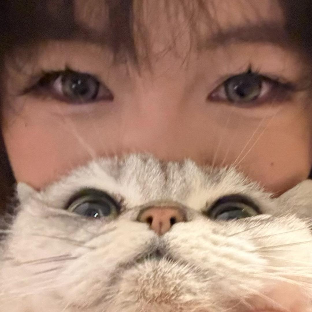 花园宝宝