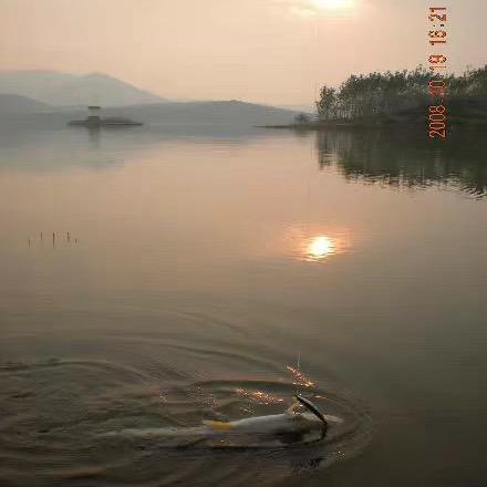 骑迹lure