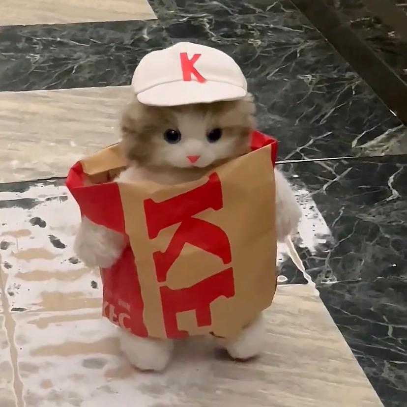 肯德猫KFC