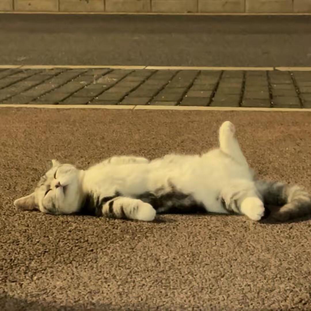 温浅