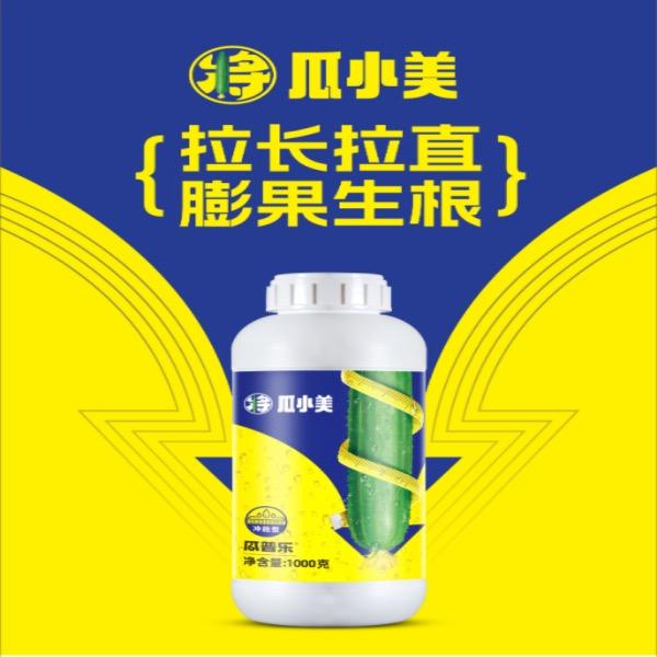 瓜小美企业店