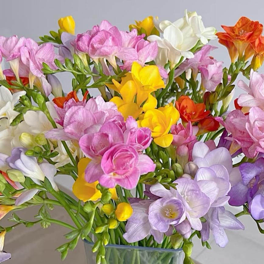 花田喜事多【橱窗🈺营业🈺】