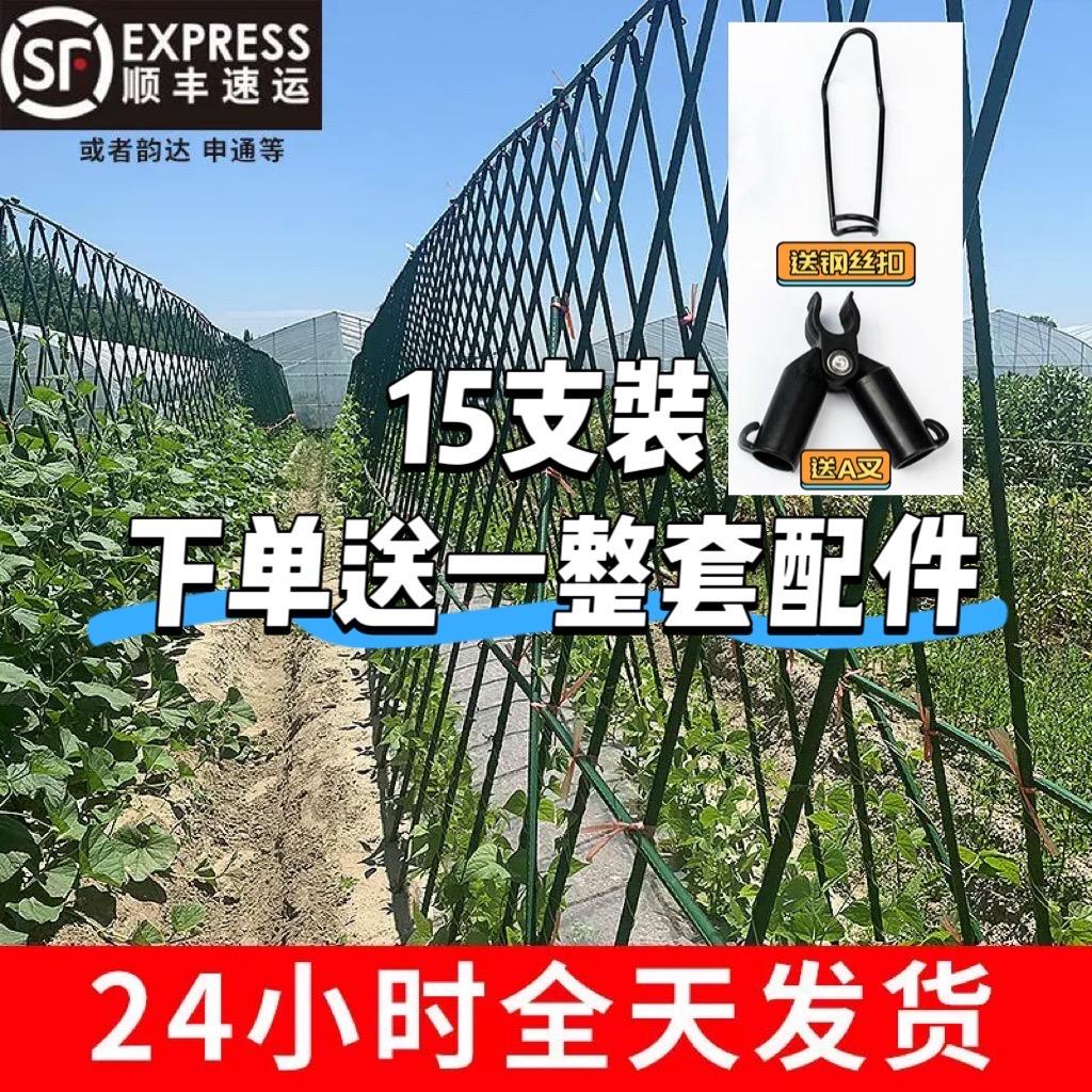 亮彩园艺企业店