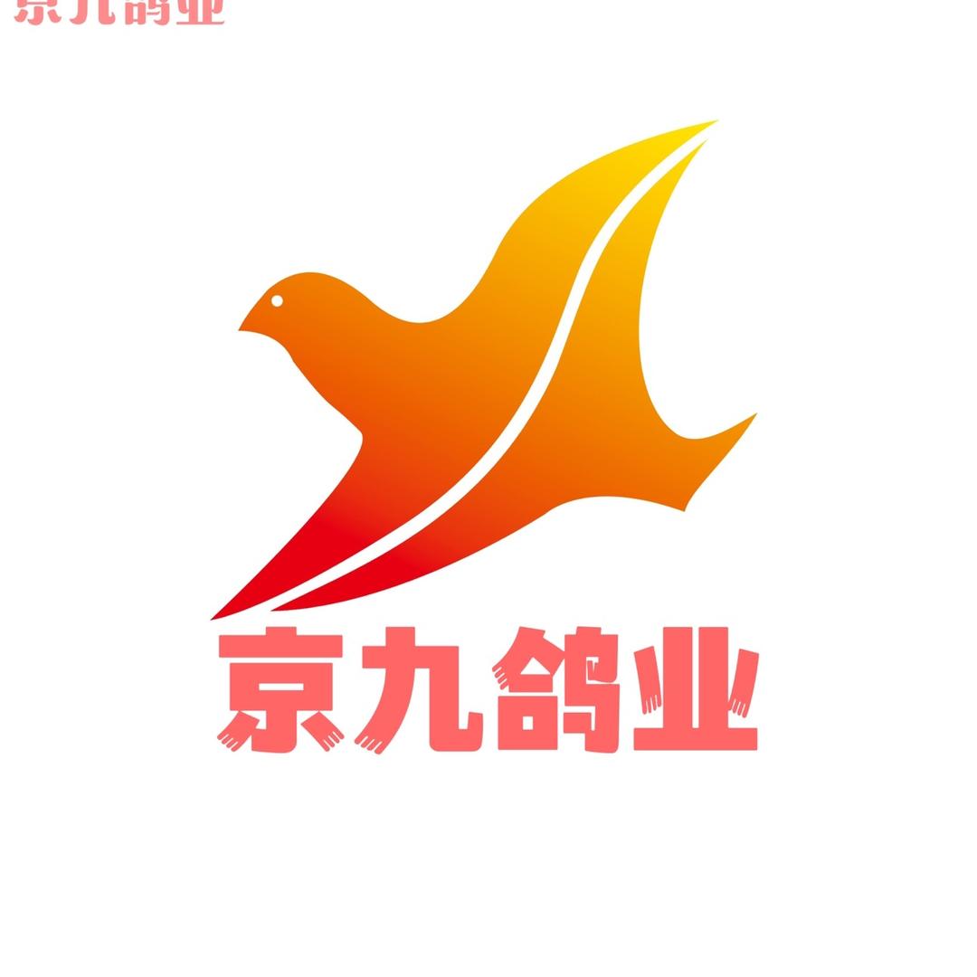 京九鸽业-韩斌