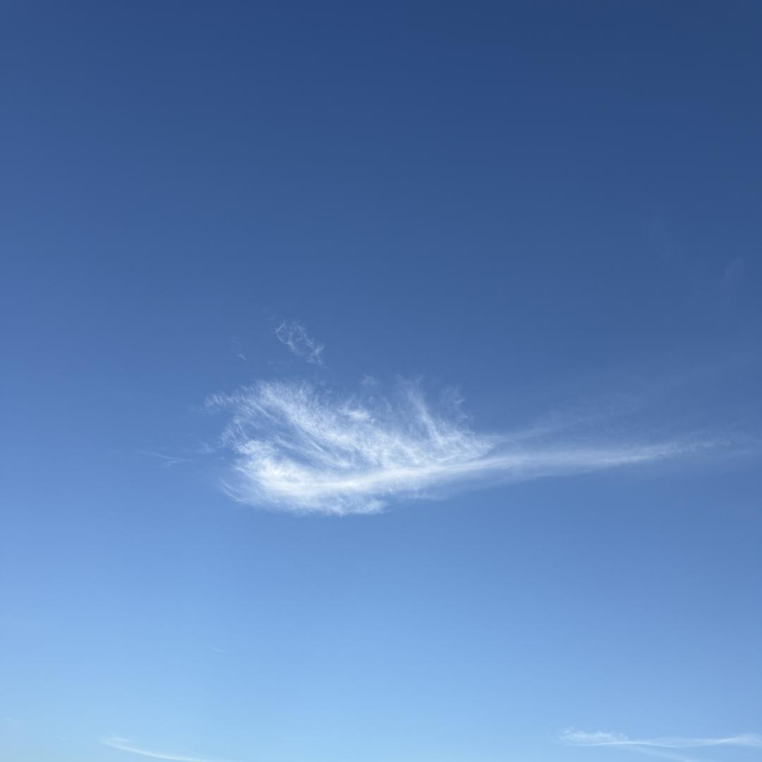 老雷百货
