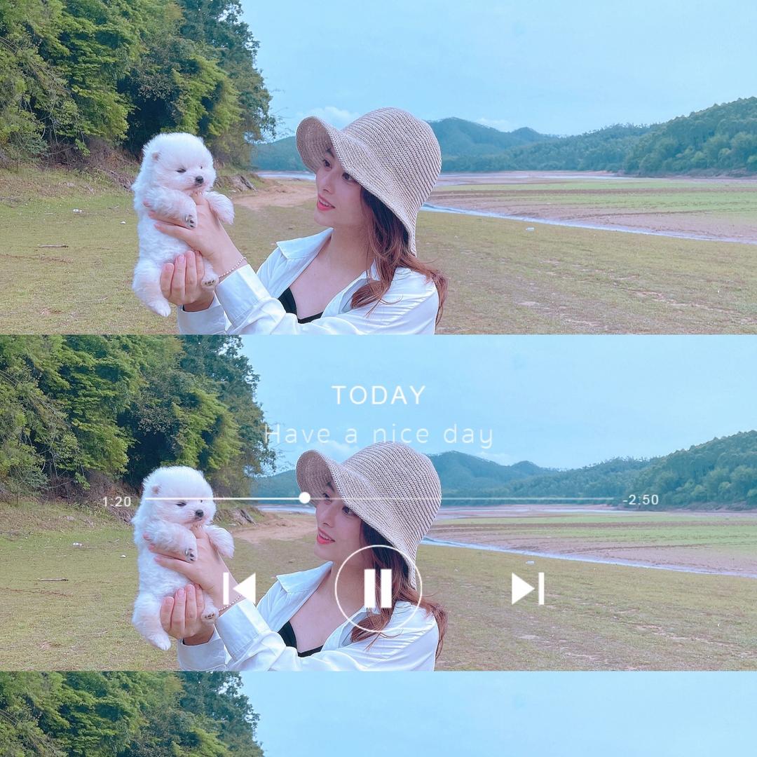 飞哥~