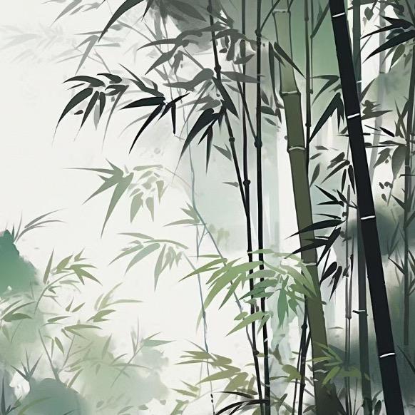 涵清居士