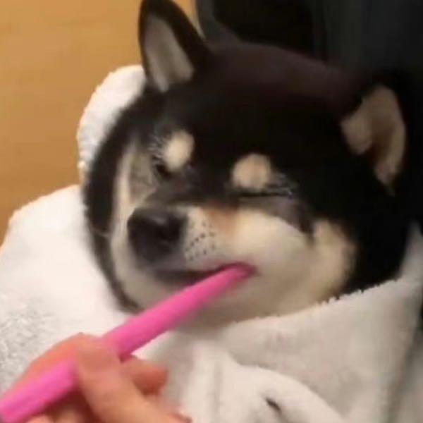 拾肆.