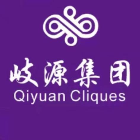 上海岐源集团-总号
