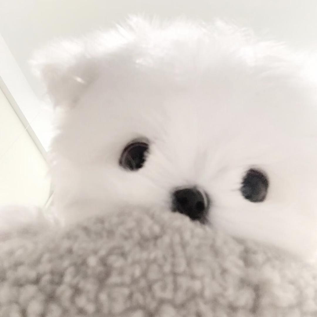 快乐小孩