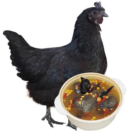 耿钩商贸