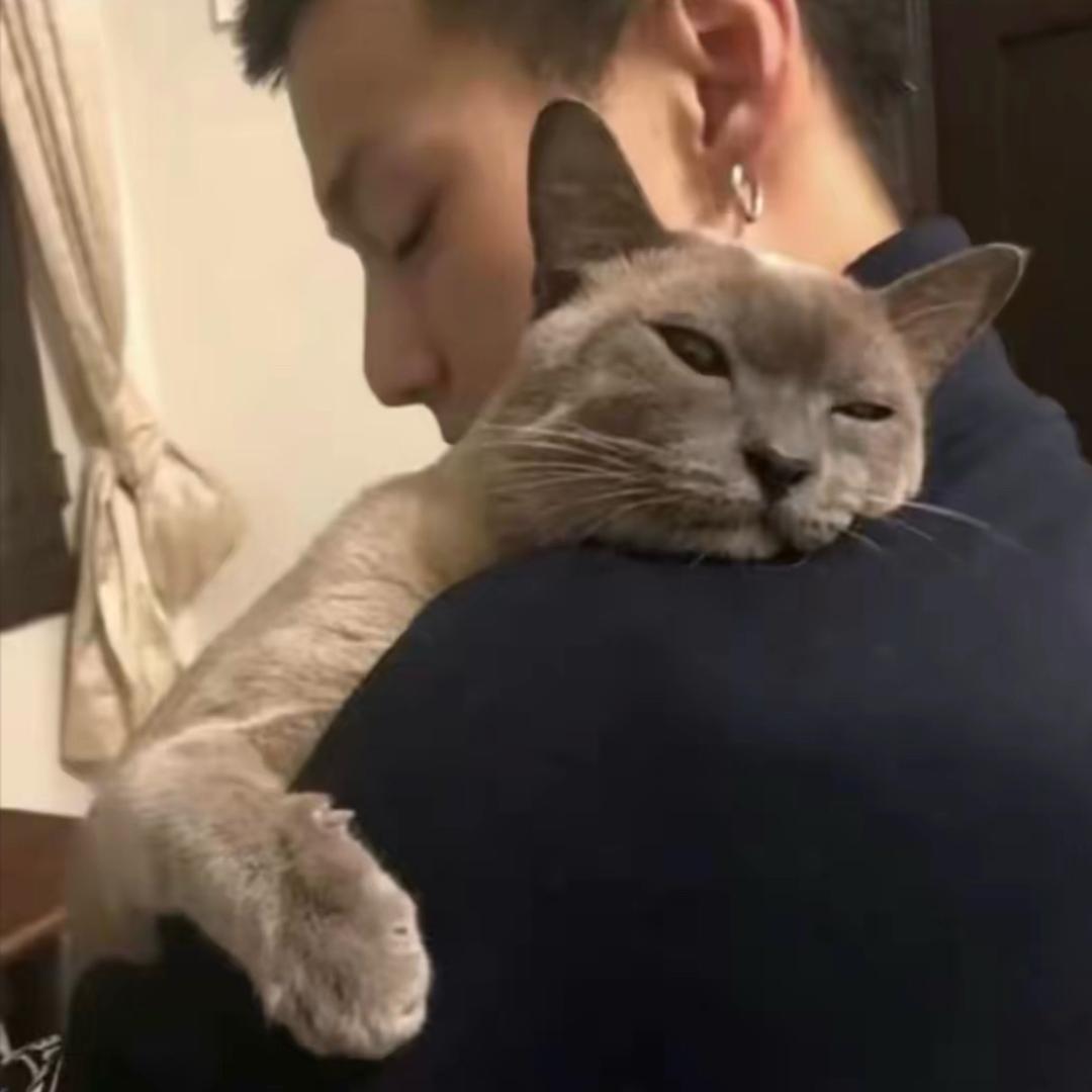 ㅤㅤㅤ王摆摆·