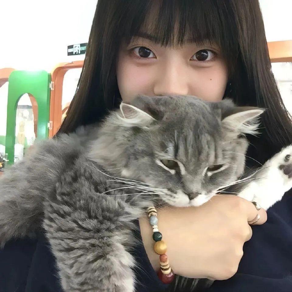 喜之郎果冻