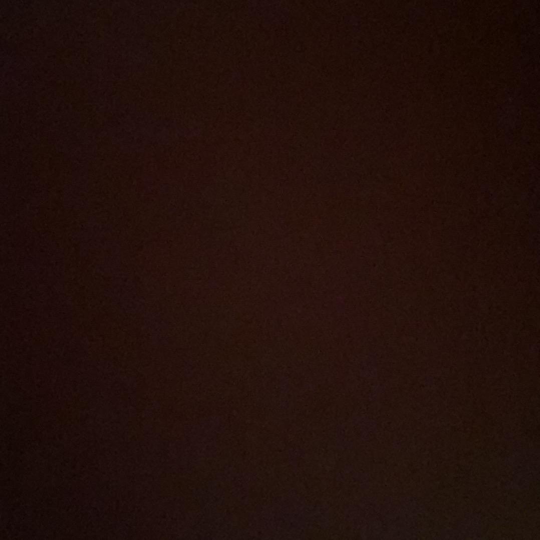 干烧烤的女人