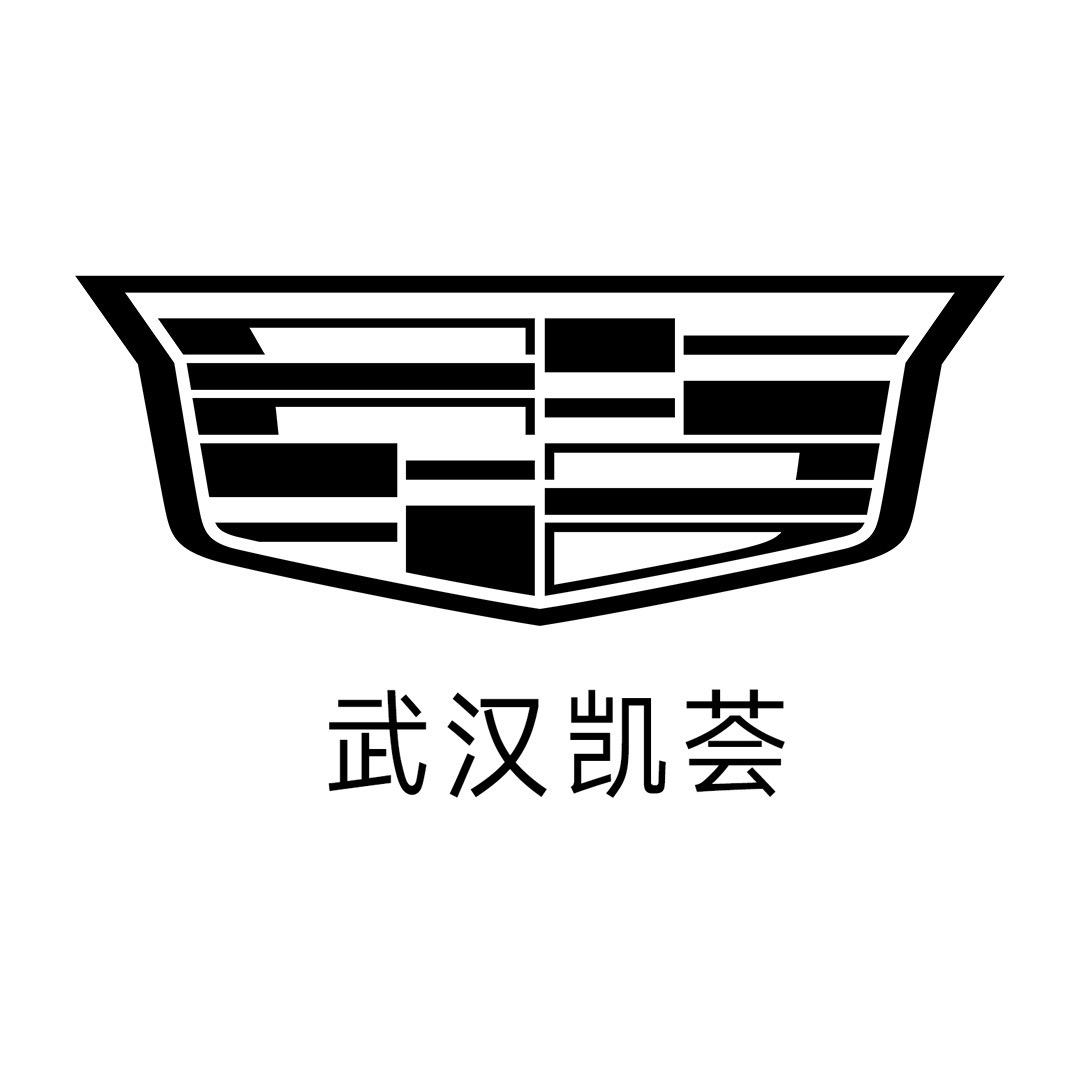 凯迪拉克-武汉凯荟（汉口直营店）