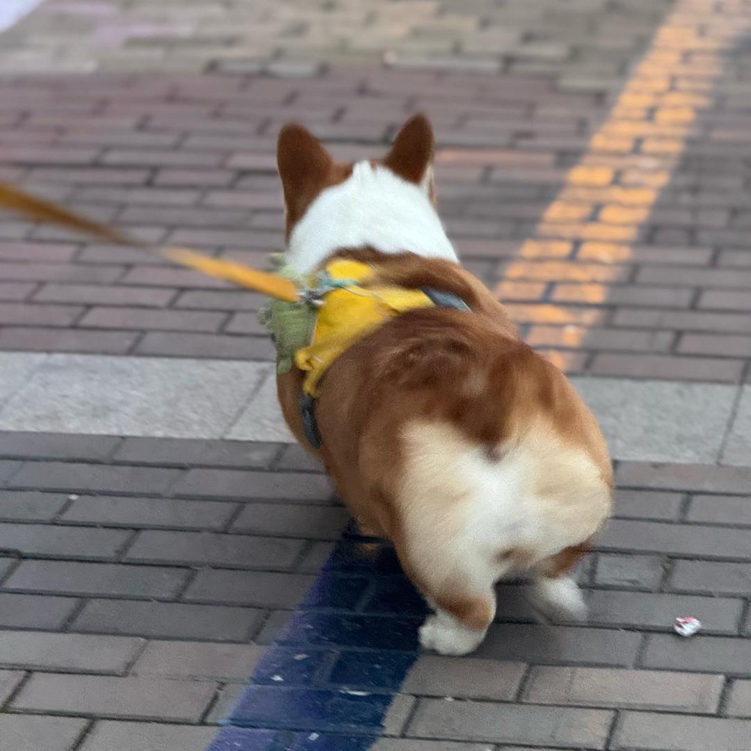 潇潇♥︎