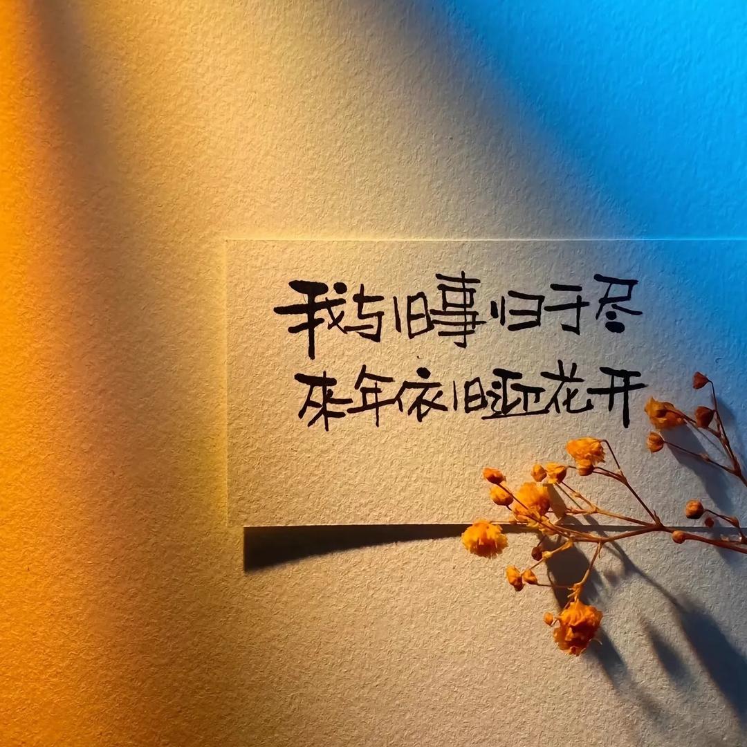 晨光如水1