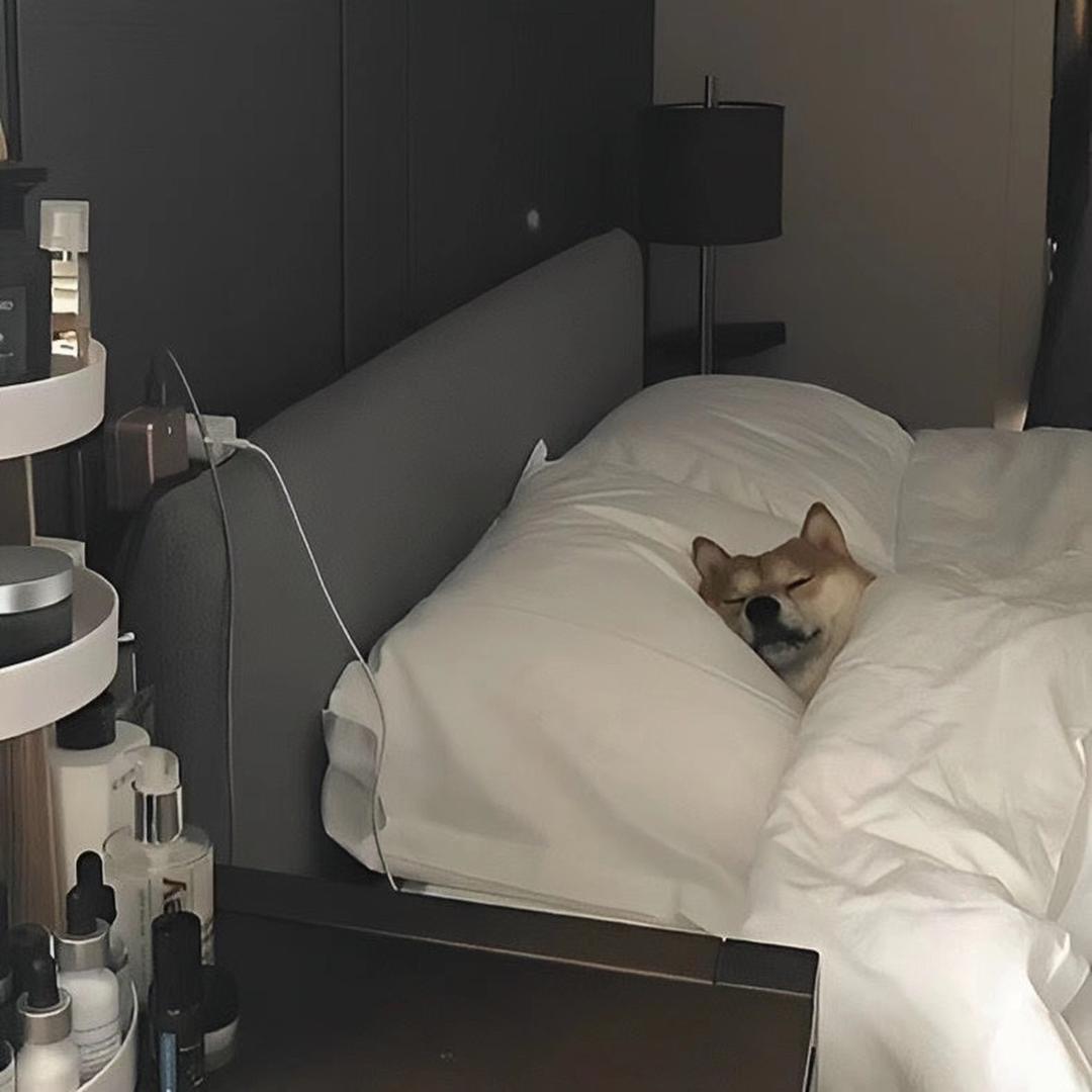 忆江淮