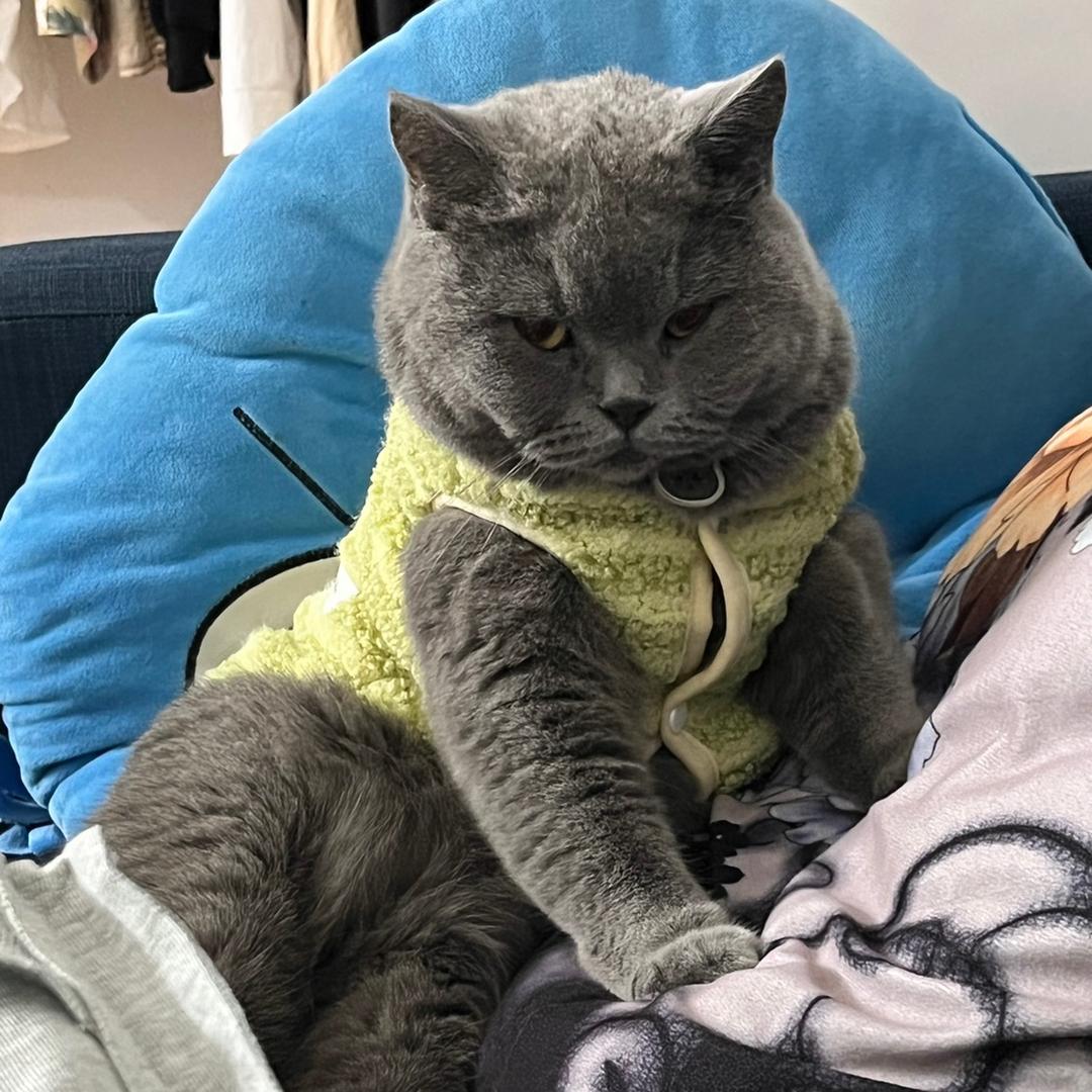 妮酱
