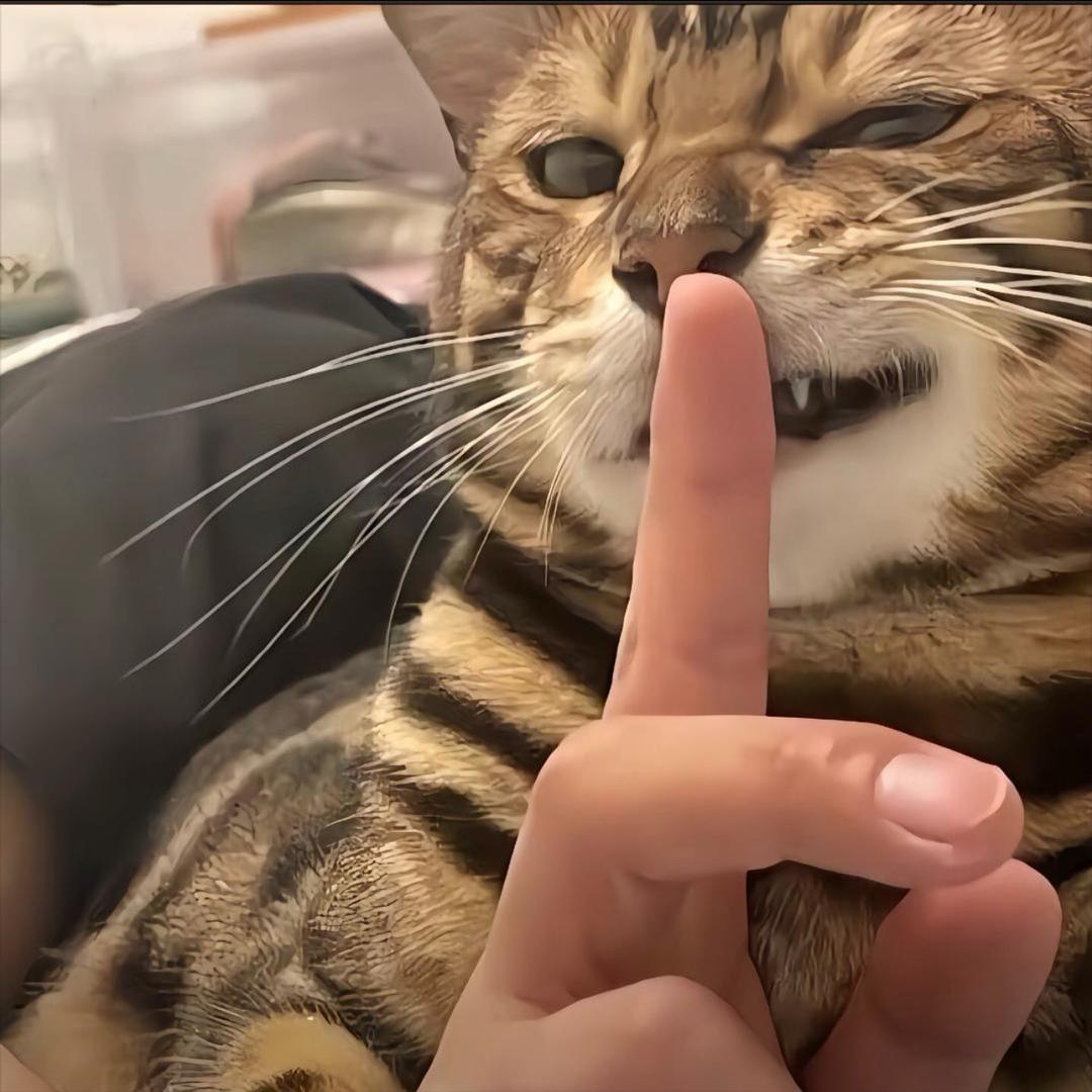 池老师