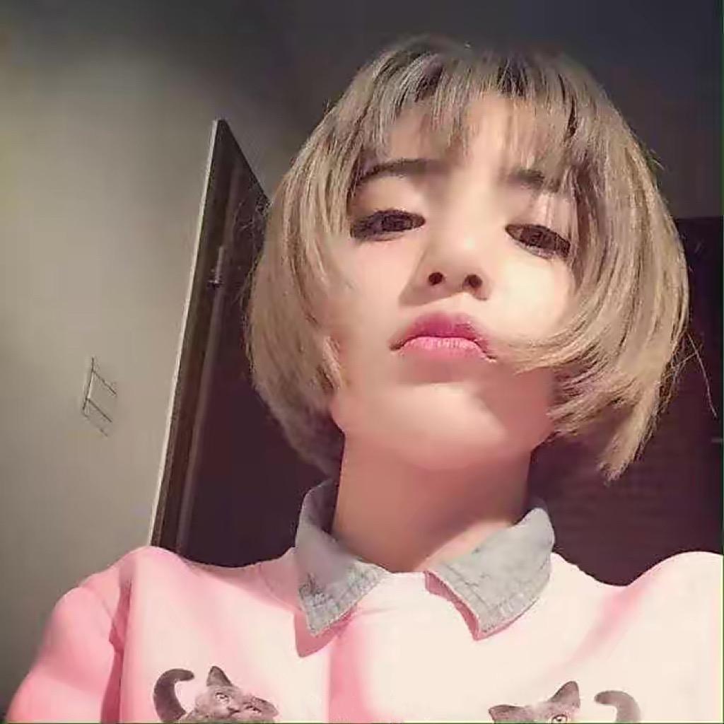 豹豹在家当猫猫