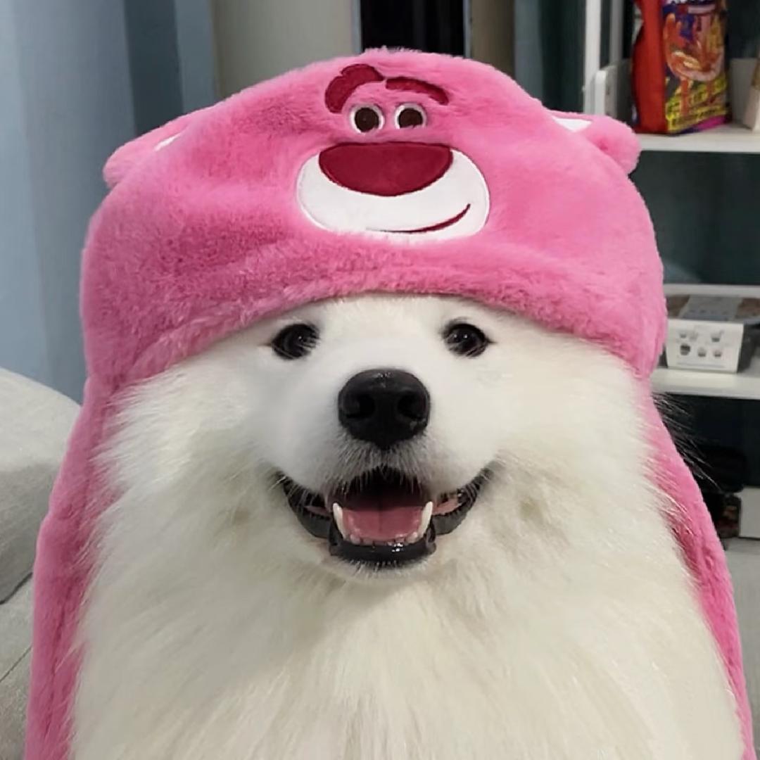 吃饭了没