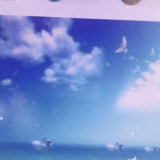 三11