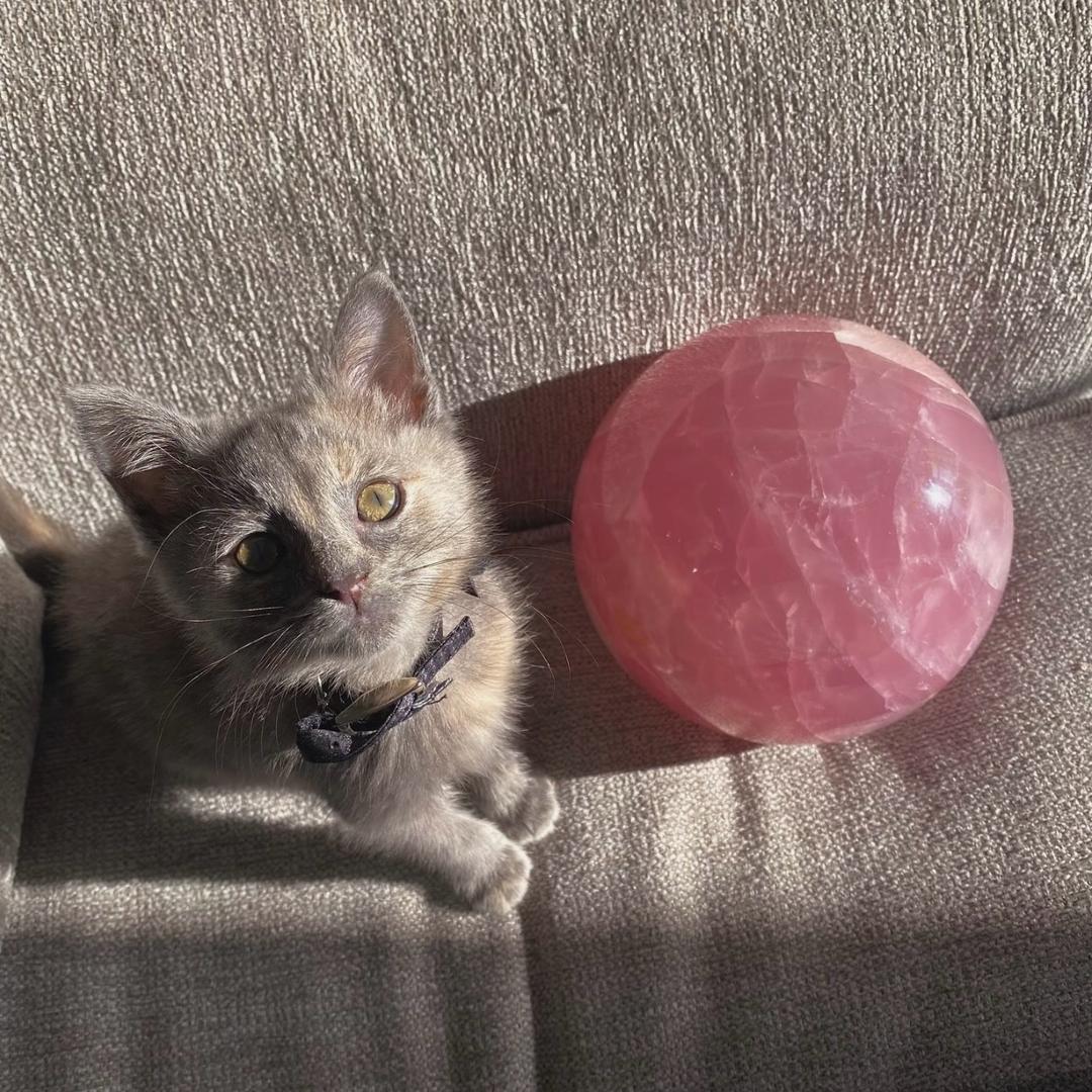 圆圆财🔮