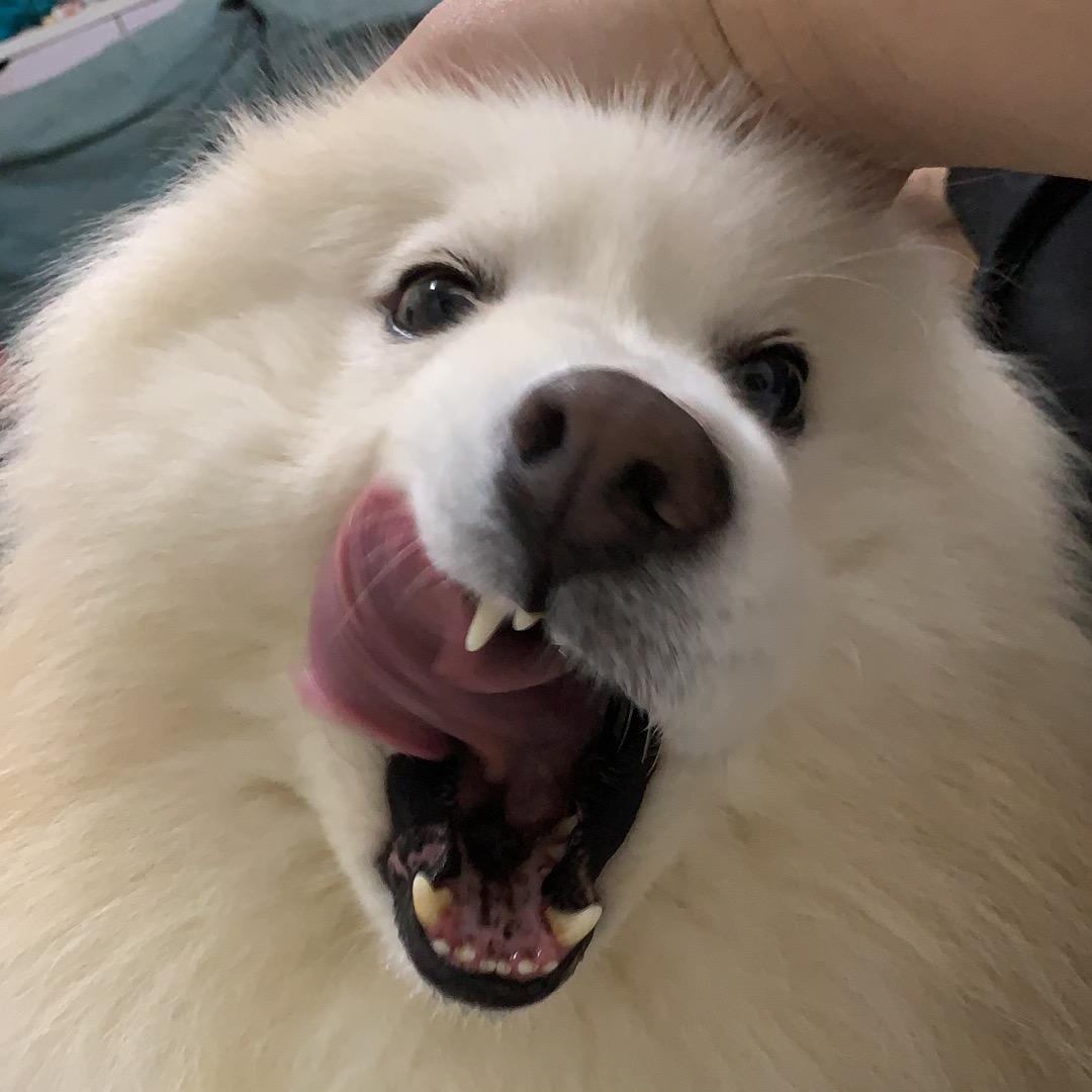 红绿灯的黄🚥