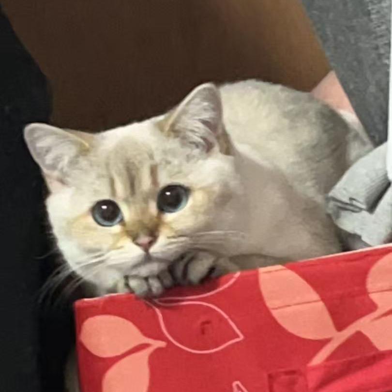 𝓐𝓵𝓮𝔁𝓪𝓷𝓭𝓮𝓻