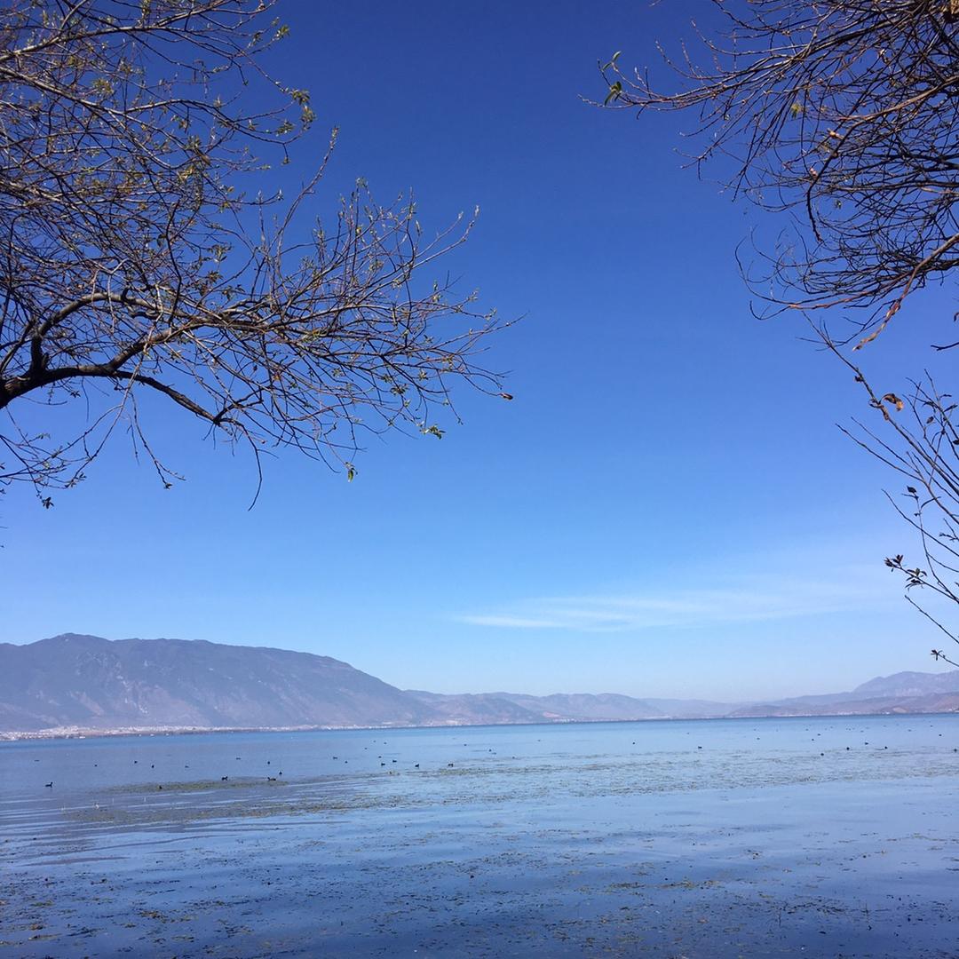 SUNNYԾ‸Ծ 阿好