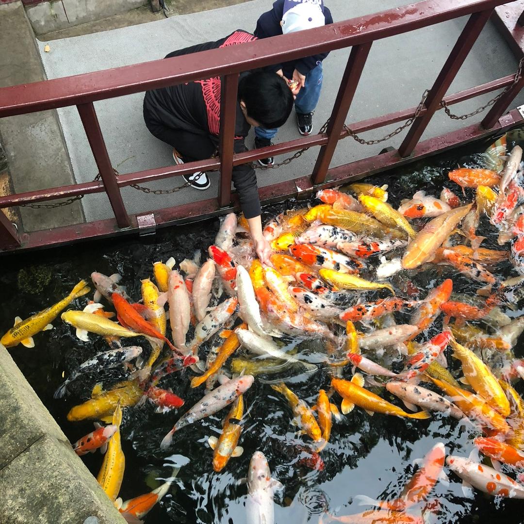 A～大雯雯💕🤗