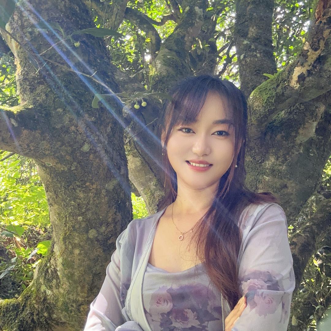 芸儿古树茶